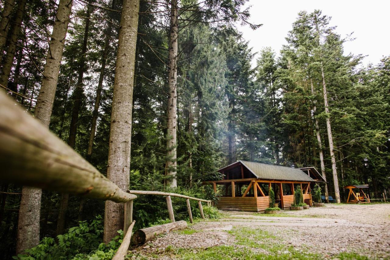 Hotel Zelenyy Bir Skhidnytsia Zewnętrze zdjęcie