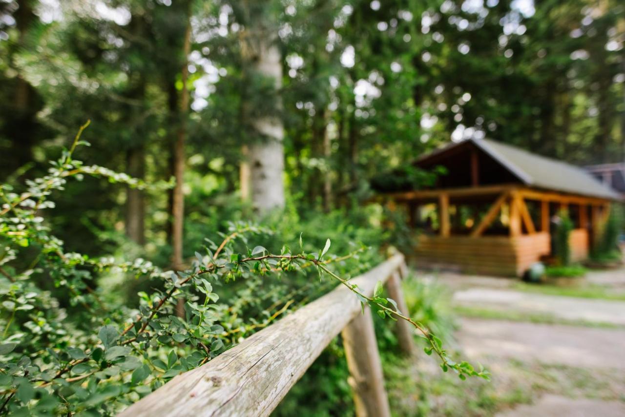 Hotel Zelenyy Bir Skhidnytsia Zewnętrze zdjęcie
