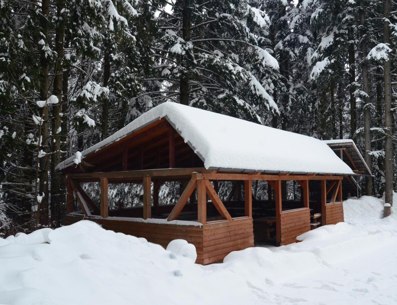 Hotel Zelenyy Bir Skhidnytsia Zewnętrze zdjęcie