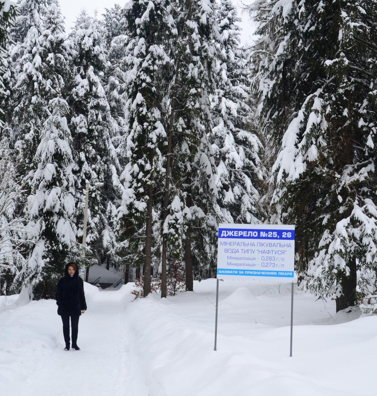 Hotel Zelenyy Bir Skhidnytsia Zewnętrze zdjęcie